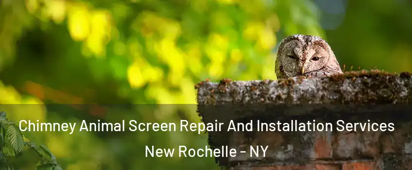  Chimney Animal Screen Repair And Installation Services New Rochelle - NY