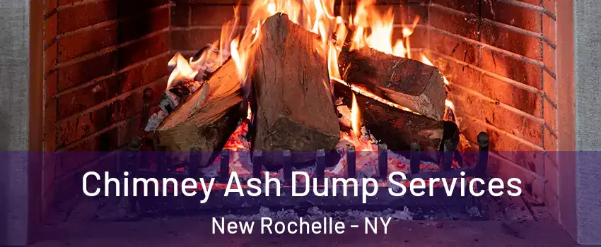  Chimney Ash Dump Services New Rochelle - NY