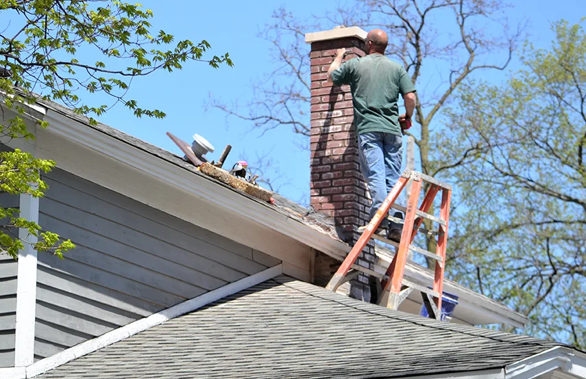 Chimney & Fireplace Inspections Services in New Rochelle, NY