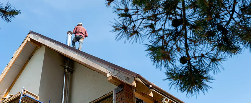 Birds Removal Contractors from Chimney in New Rochelle, NY