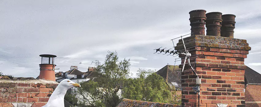 Chimney Cleaning And Restoration in New Rochelle, New York